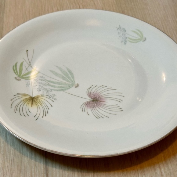 Vintage Bavaria Tirschenreuth Plate – White w/ Floral Design, Silver Rim, Rare - Picture 4 of 16